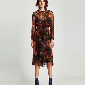 Zara Midi dress with velvet detail